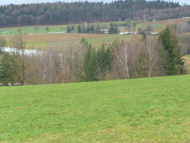 Stamsried Blockhaus Mit Wlan Bayernヴィラ エクステリア 写真